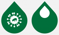 main_swine_flu
