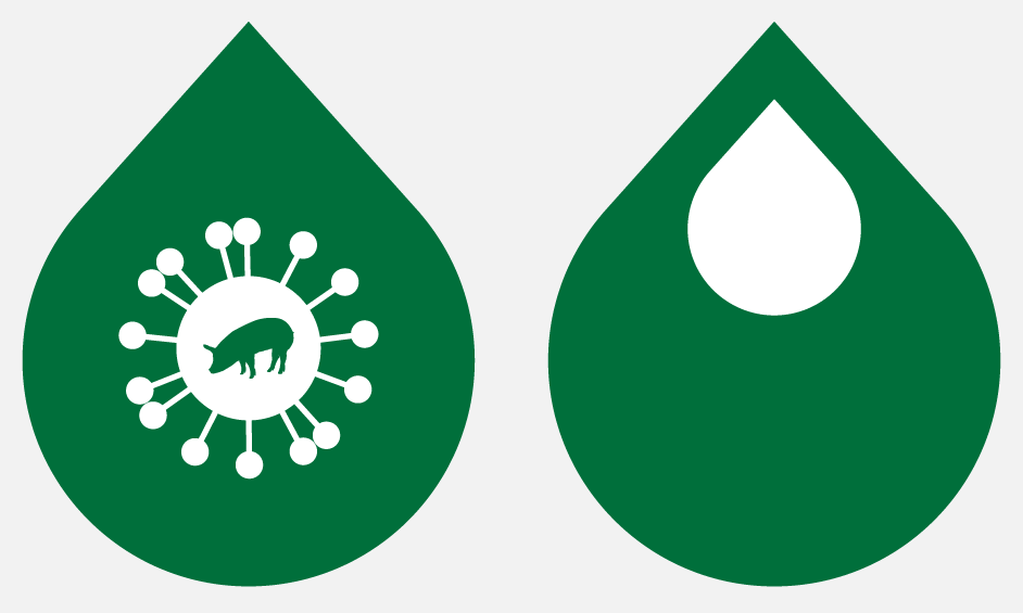 Is the H1N1 Swine Flu Vaccine Safe? main_swine_flu