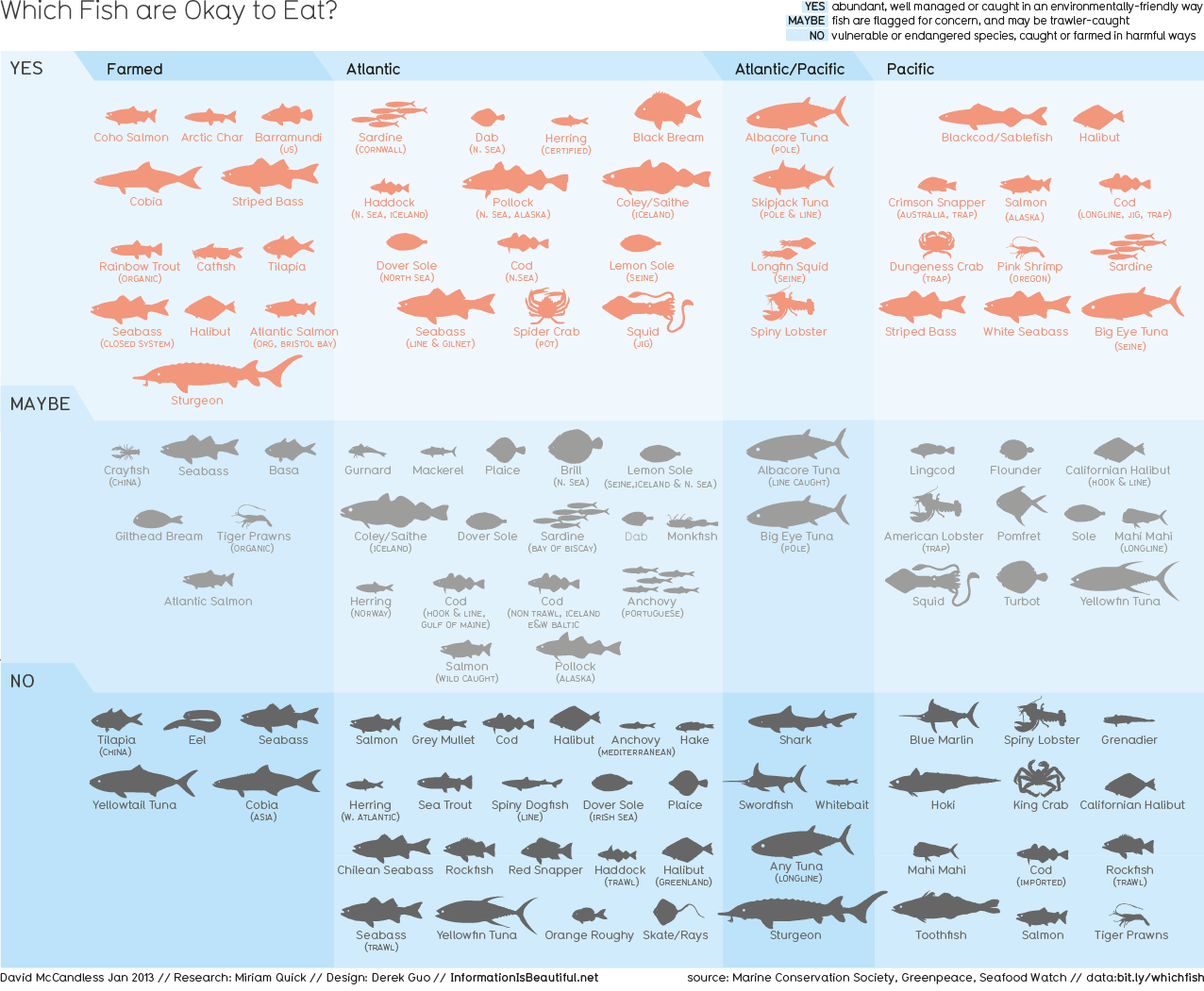 Guide To Eating Fish: Choosing Healthy and Sustainable Options